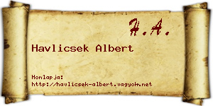 Havlicsek Albert névjegykártya